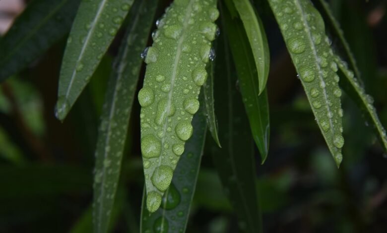 outbound call drop analysis