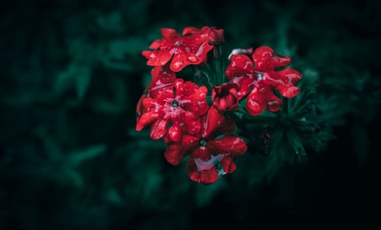 session duration drop correlation