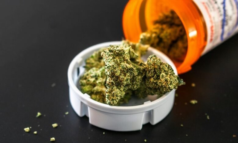 telecom regulation integrity bureau