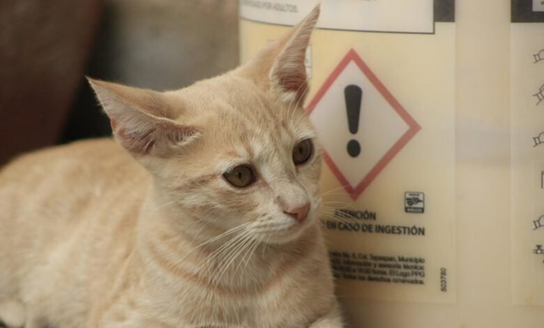 xovfullmins safety concerns discussed